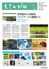 隆泉81号　表